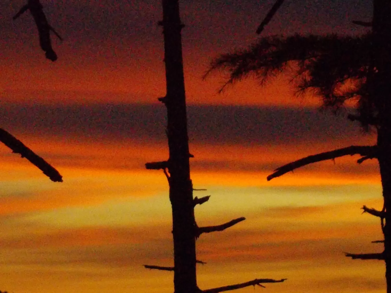 Photo of Dalhousie By SHAH VARSHIL