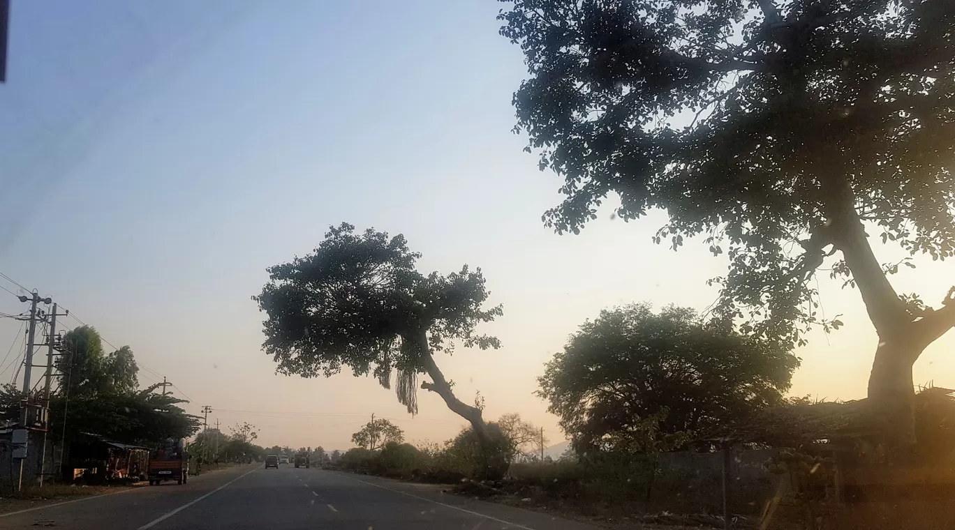 Photo of Bandipur Tiger Reserve And National Park By Deepti Sharma 