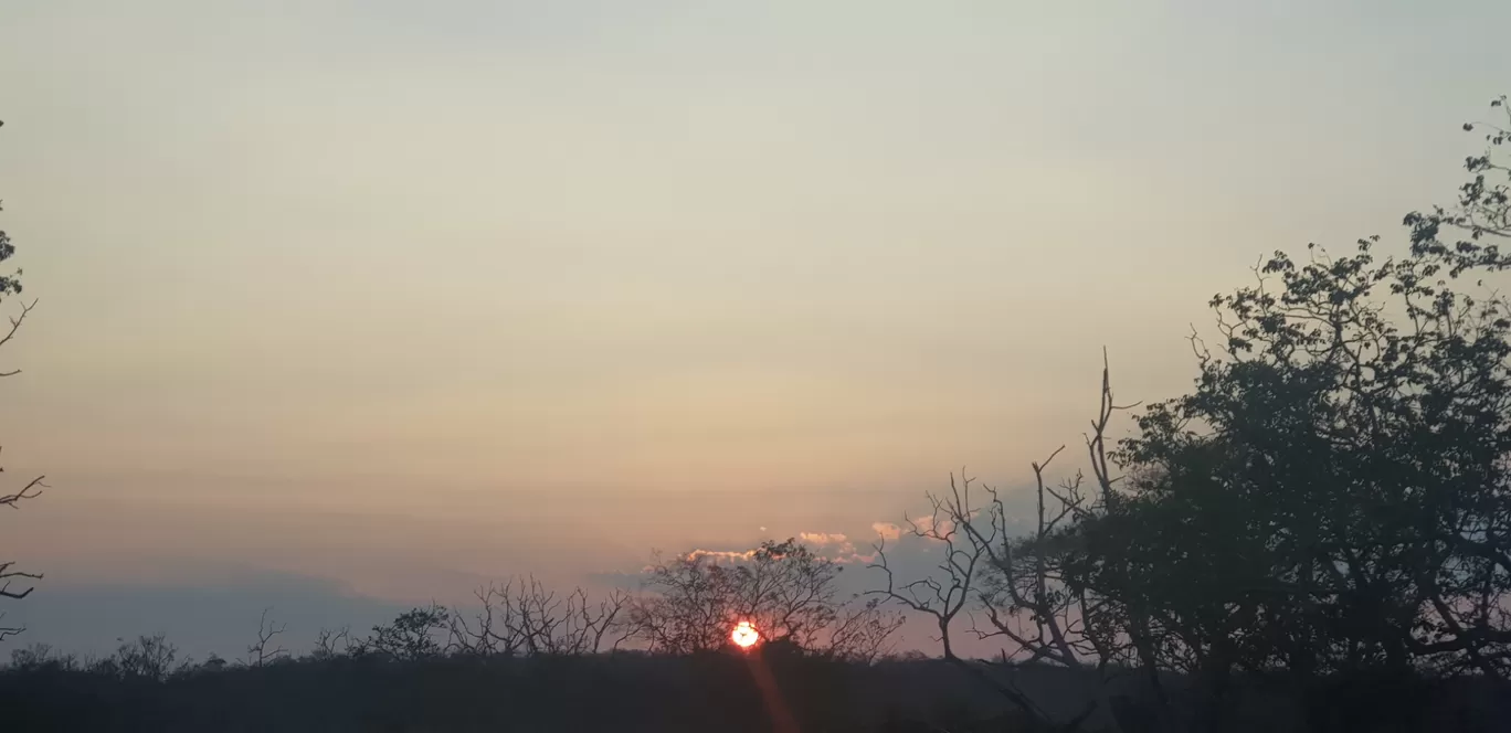 Photo of Bandipur Tiger Reserve And National Park By Deepti Sharma 