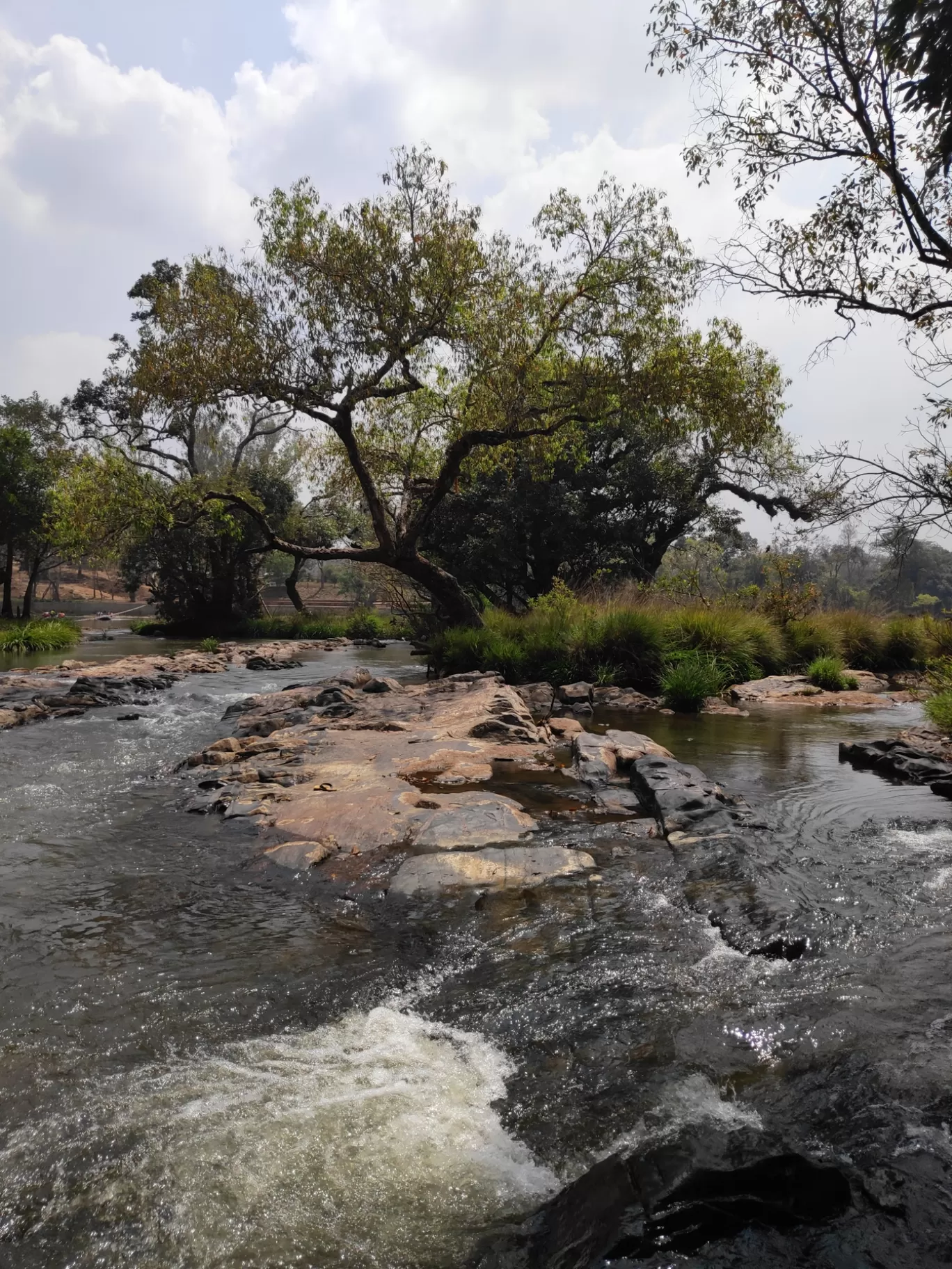 Photo of Coorg By Mamatha Kuruva