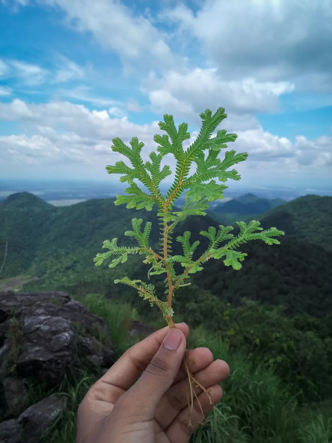 Photo of Nakkati Hill By Preetom Kerketta