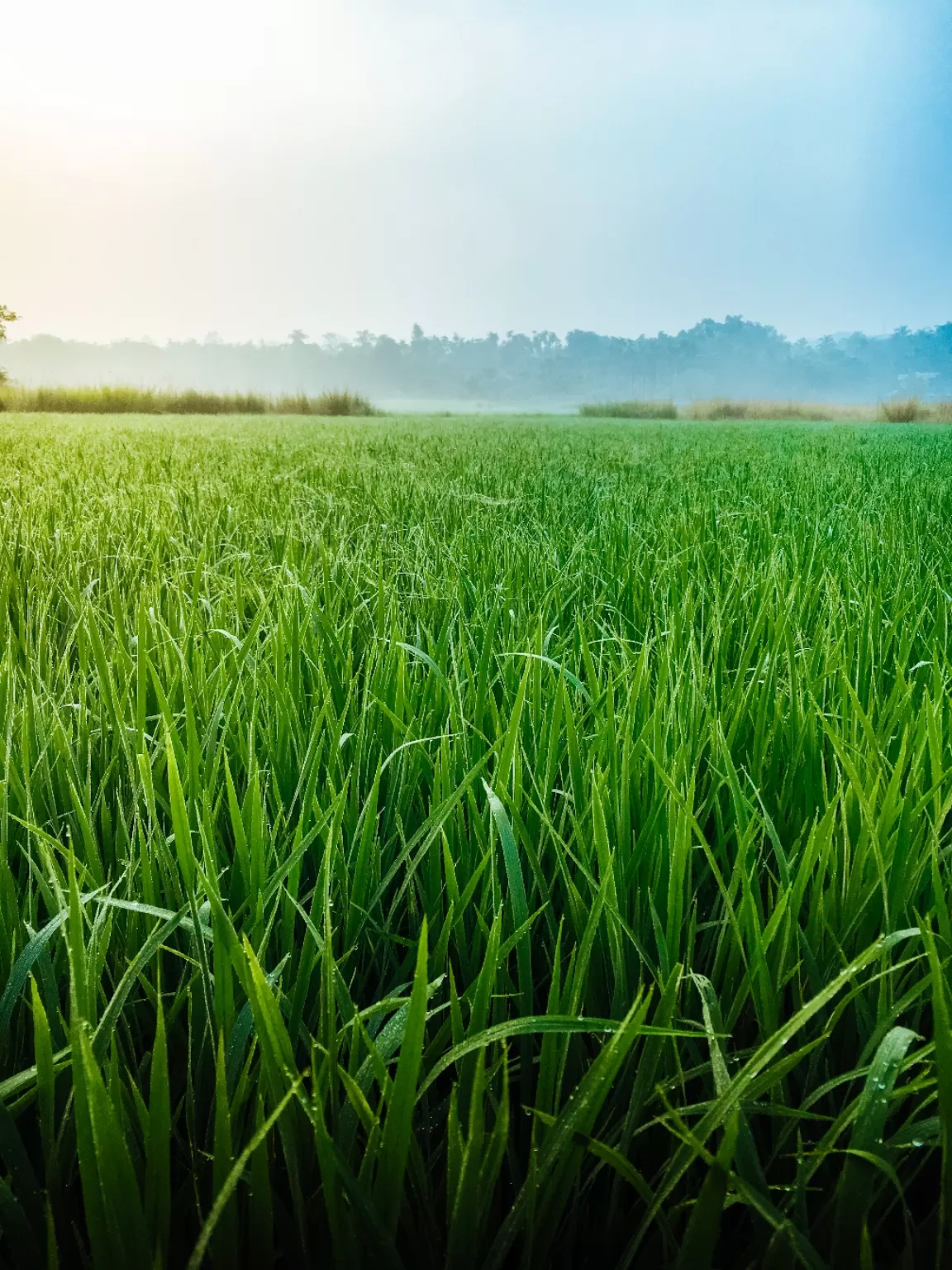 Photo of Malappuram district By sajad machu