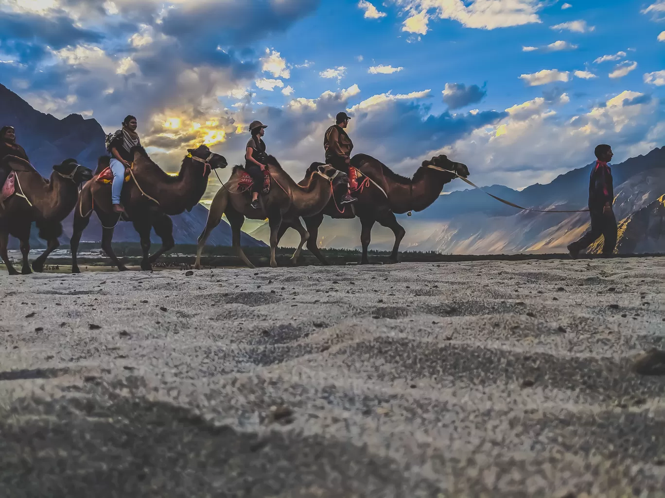 Photo of Nubra Valley By Mouna Nanaiah