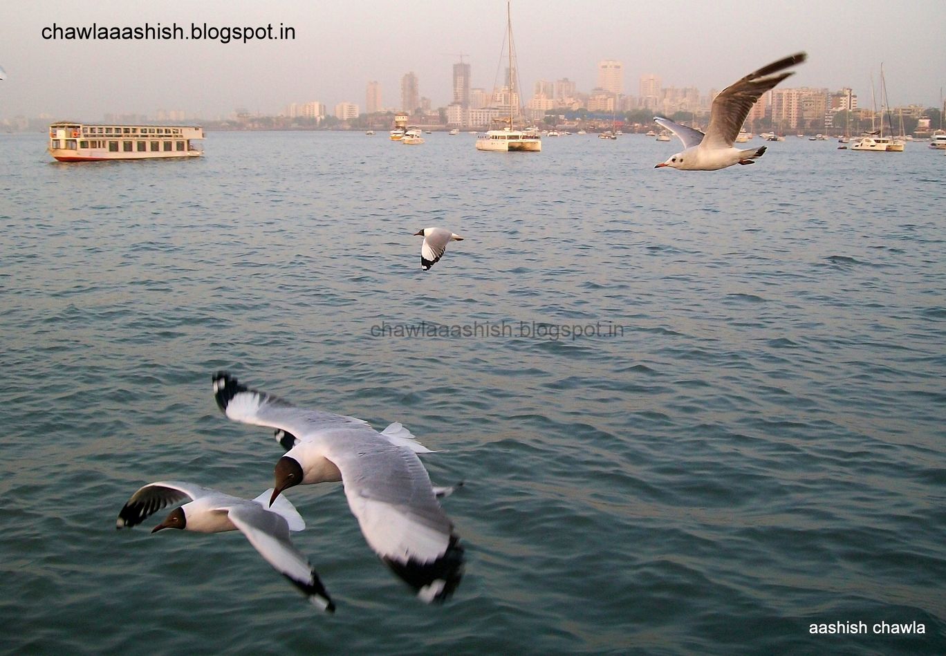 Photo of One day visit to Revdanda Fort and beach By Aashish Chawla