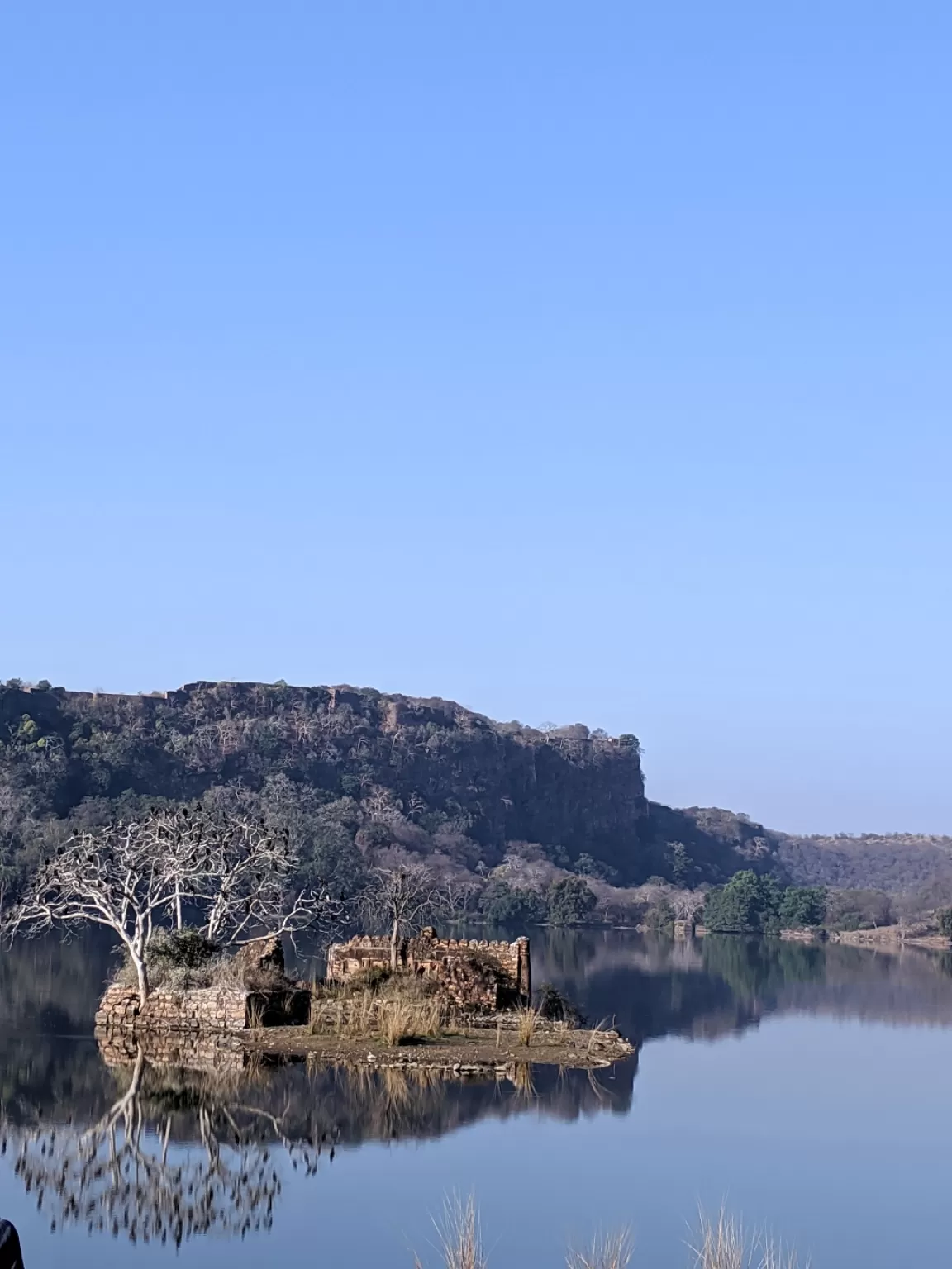 Photo of Ranthambore National Park By Smridhi Aggarwal