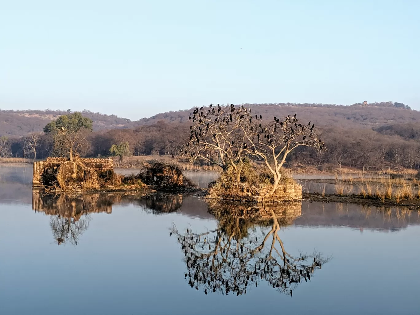 Photo of Ranthambore National Park By Smridhi Aggarwal