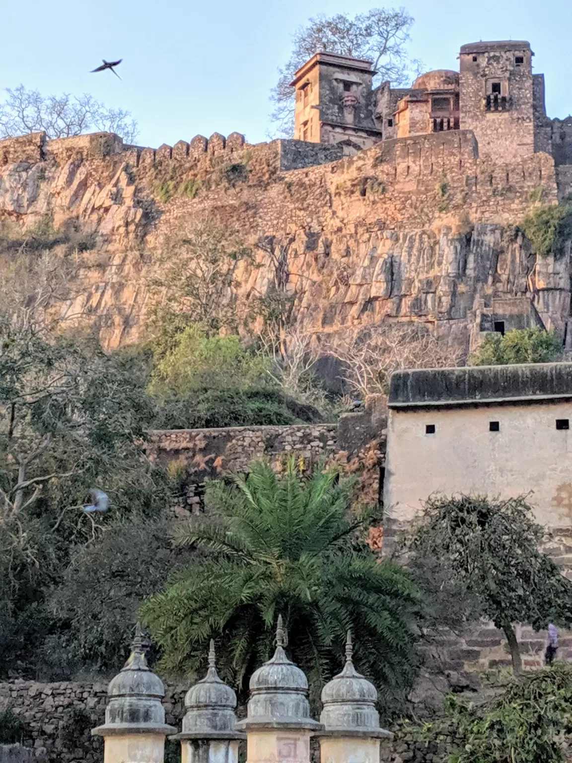 Photo of Ranthambore National Park By Smridhi Aggarwal