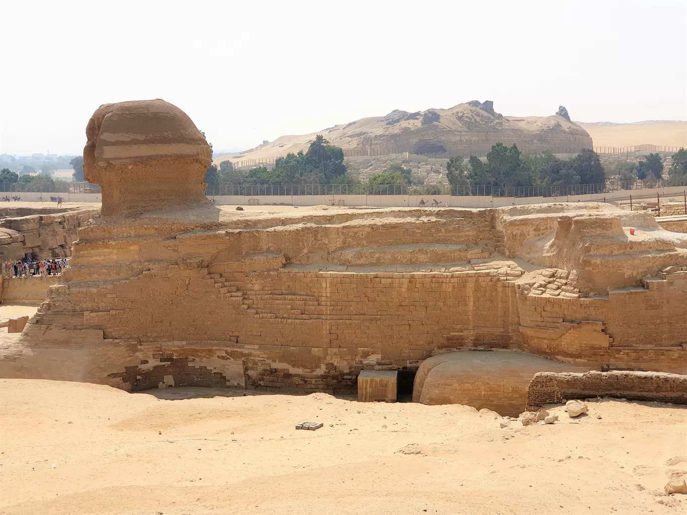 Photo of Giza Necropolis By Anmol Jolly