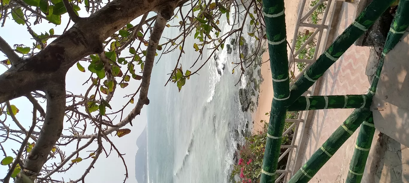 Photo of Tenneti Park Beach By Pritha Dasgupta