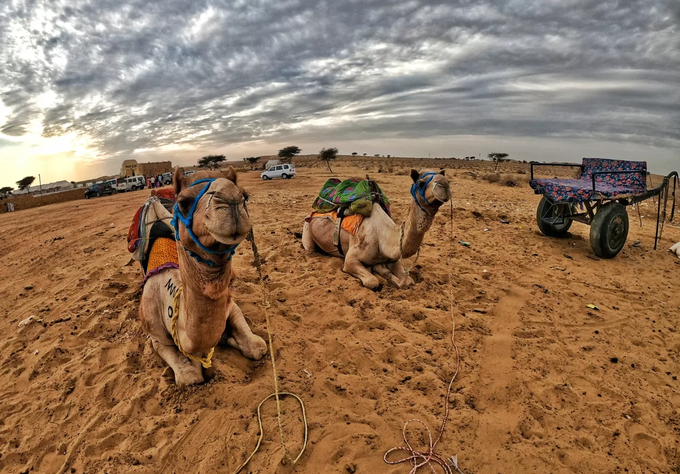 Photo of Rajasthan By Amit P Raut