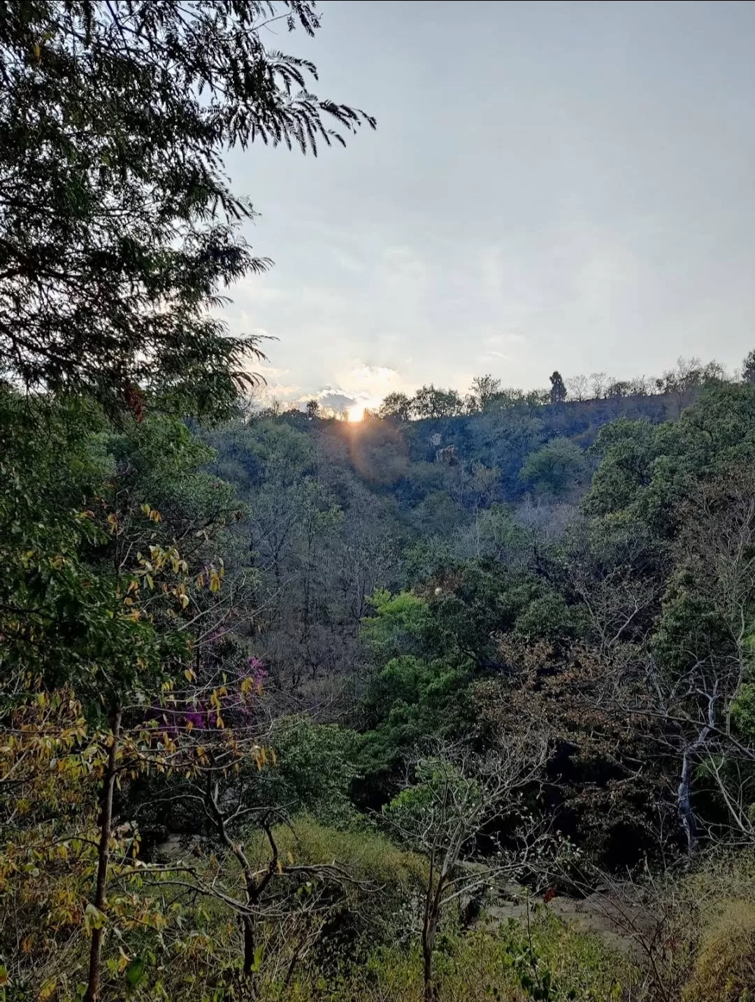 Photo of Mallela Thirtham Waterfall By Jagadish Kumar Prïñçê