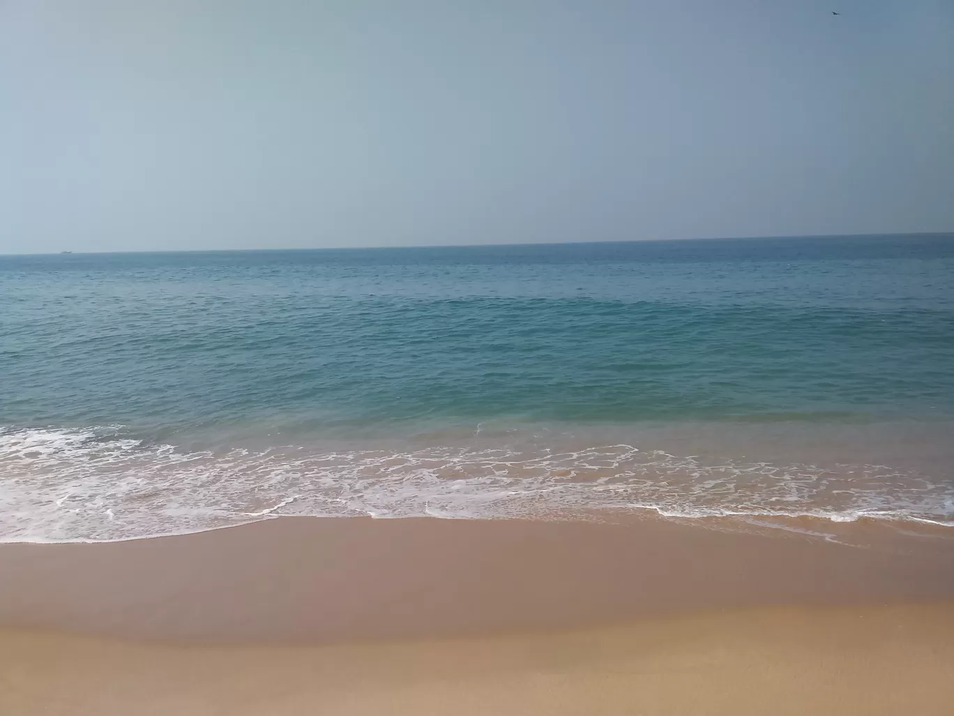 Photo of Kerala By Rana Sanyal