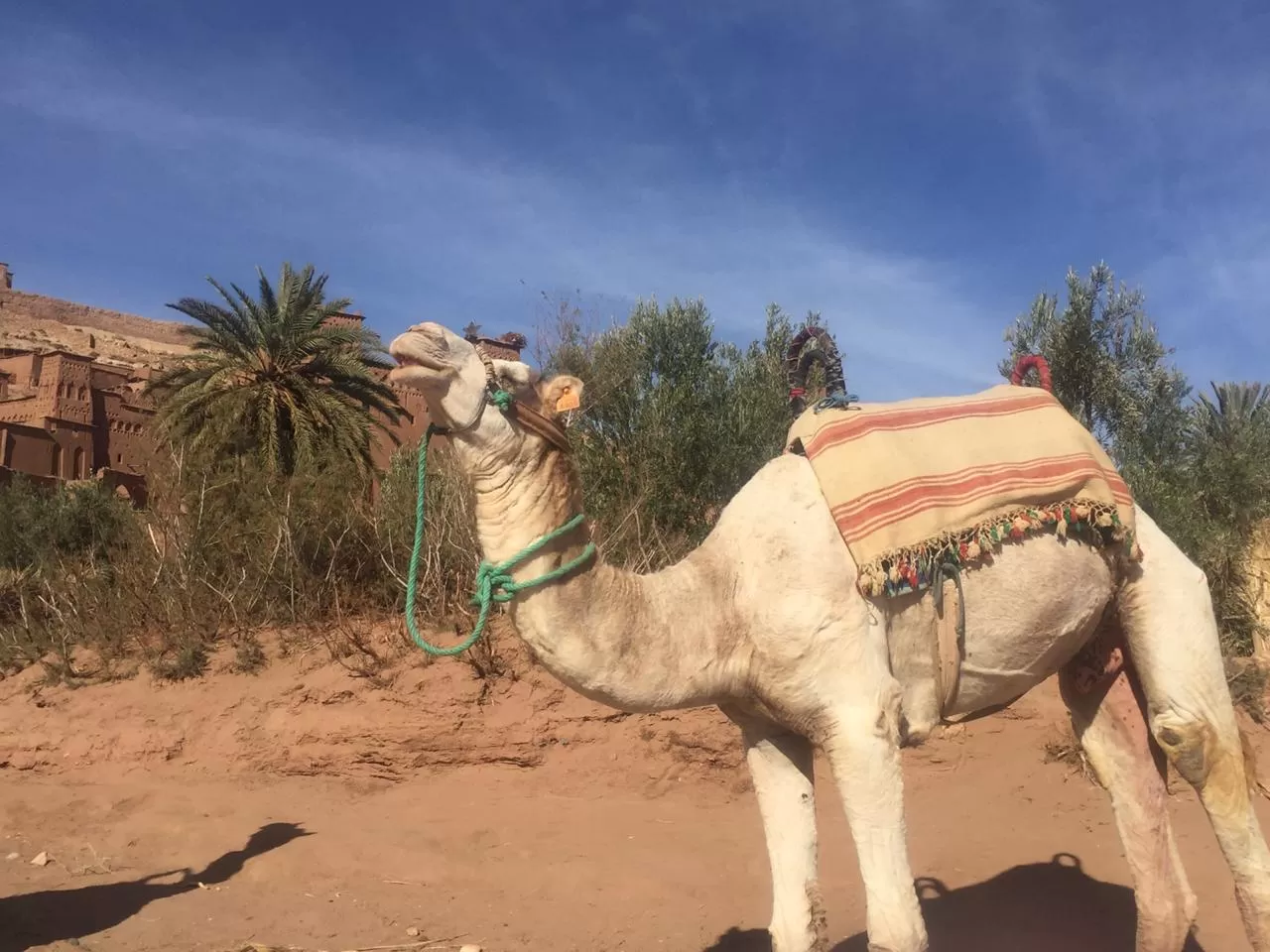 Photo of Morocco By Gilly Croxford