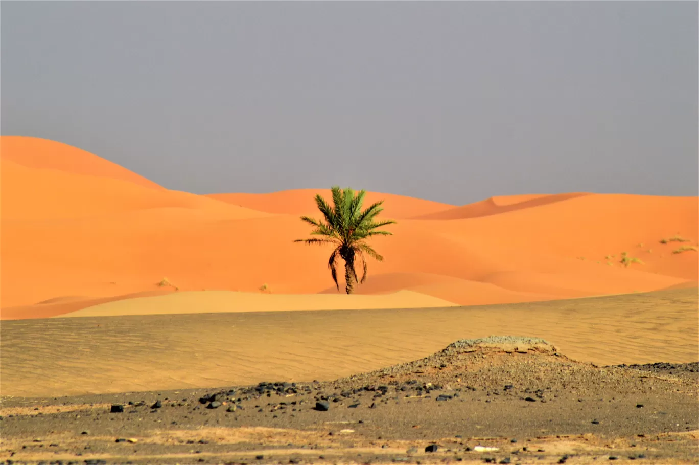 Photo of Morocco By Gilly Croxford