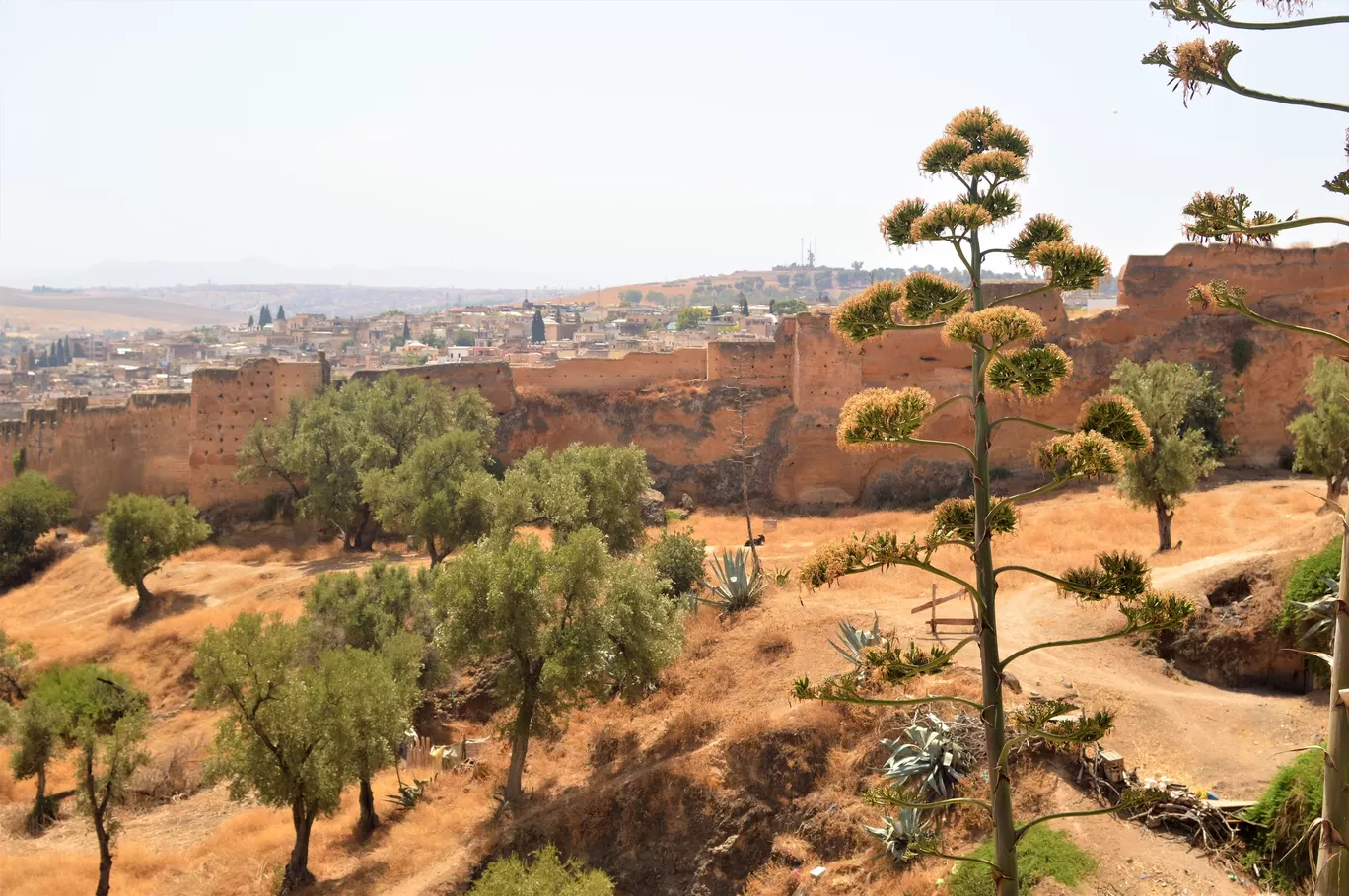 Photo of Morocco By Gilly Croxford