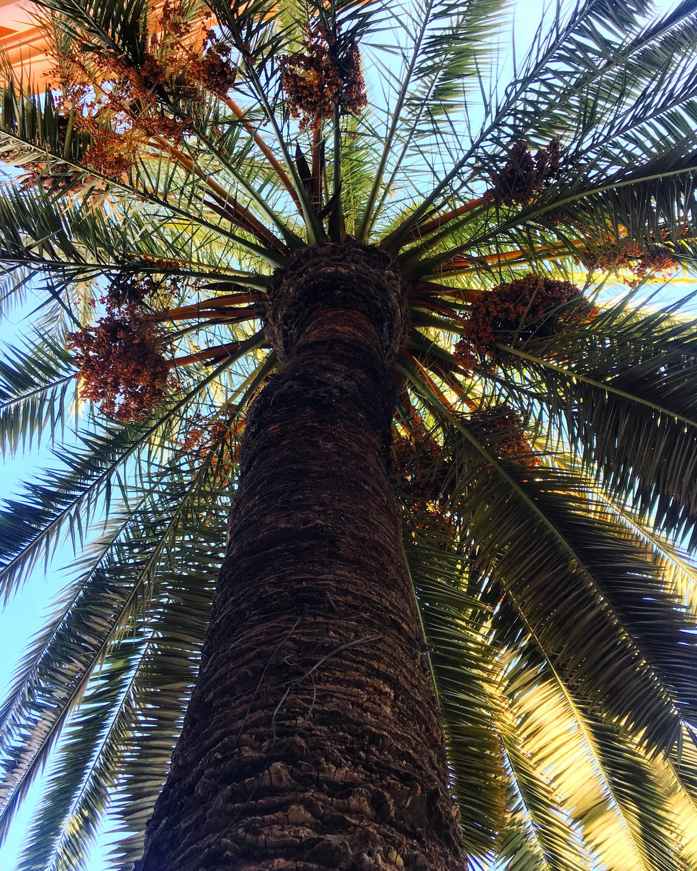 Photo of Morocco By Gilly Croxford