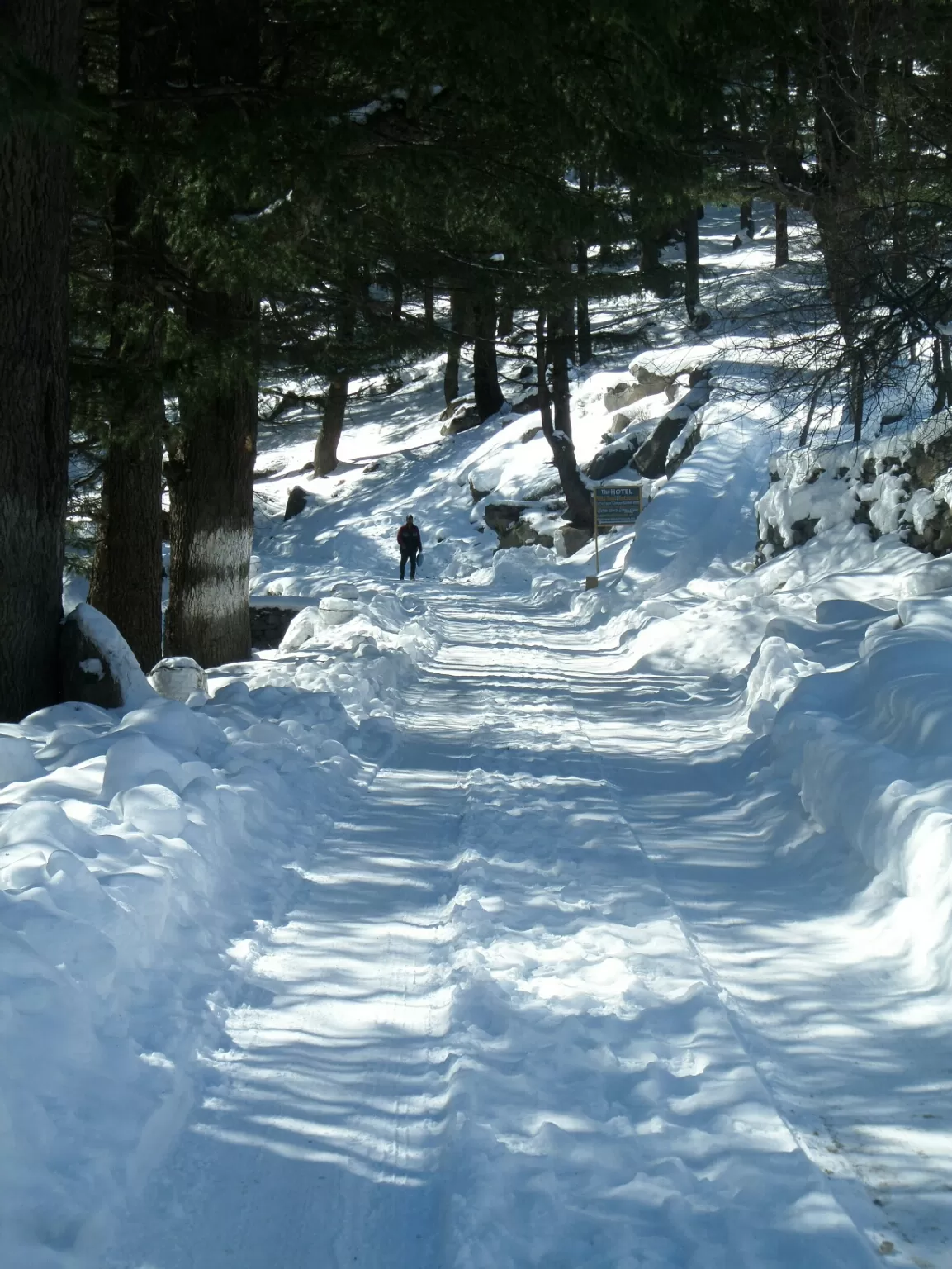 Photo of Kinnaur By Himalayan Beauty