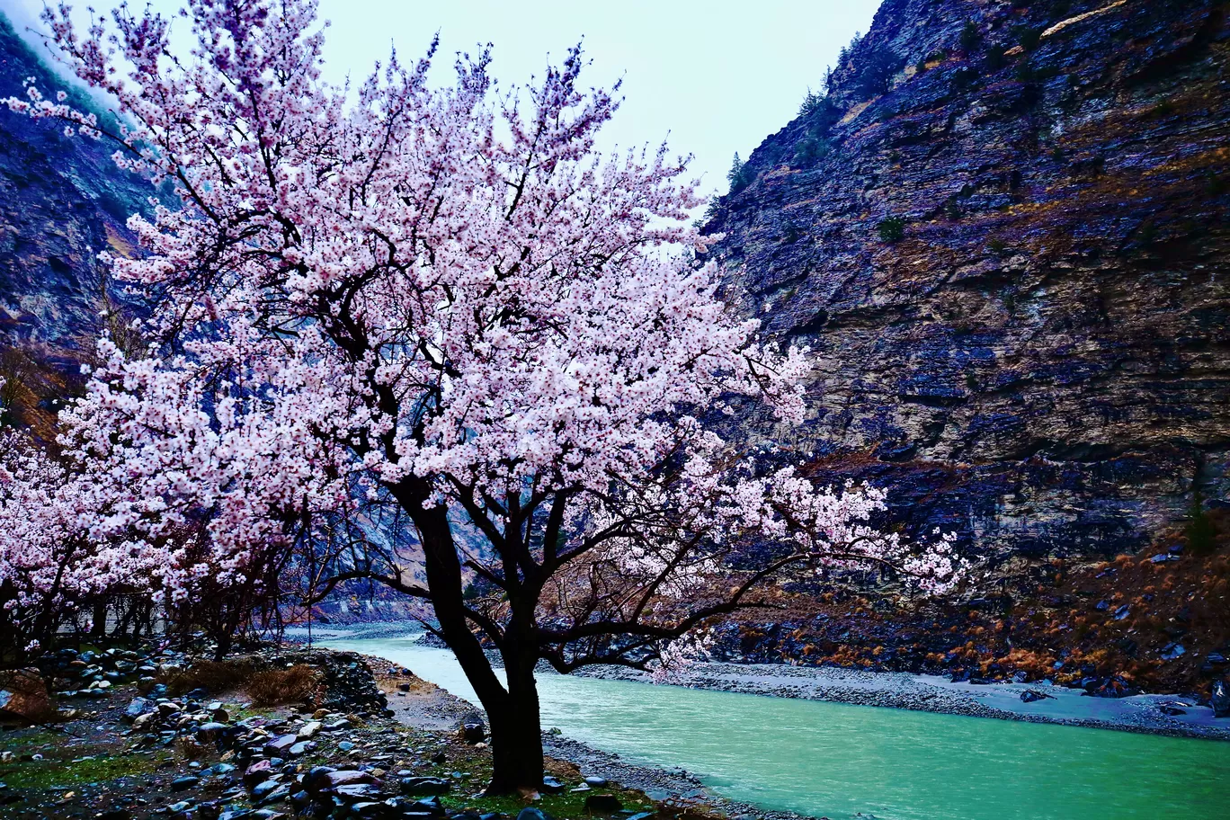 Photo of Kinnaur By Rahul Kumar