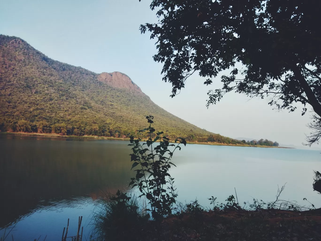 Photo of Satkosia Tiger Reserve By Ashwin Ray Mohapatra 