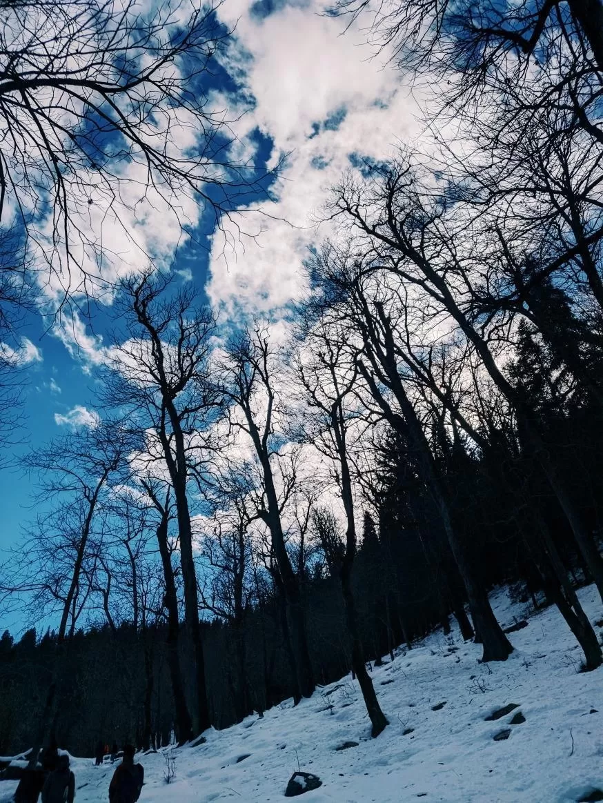 Photo of Kedarkantha Trek By Ashwin Ray Mohapatra 