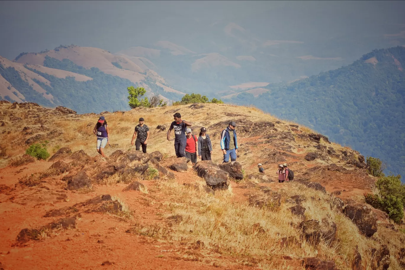 Photo of Kodachadri Trek Trail By Kingshuk Sen