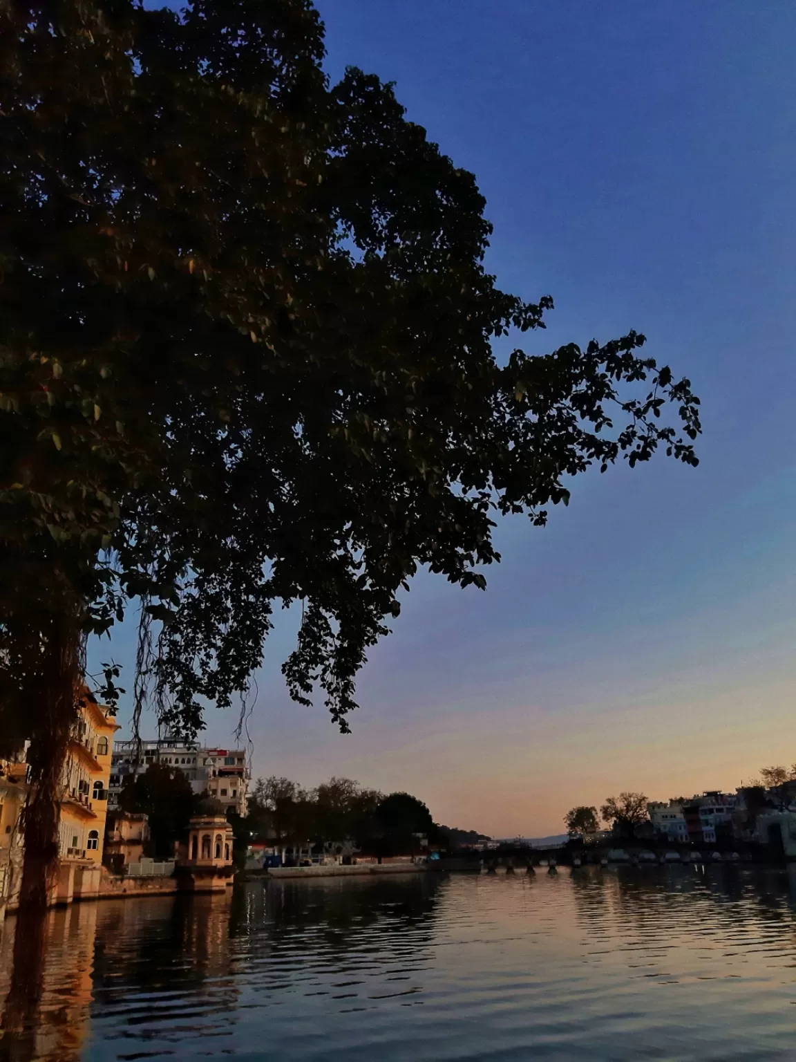 Photo of Udaipur By Saili Nagrale