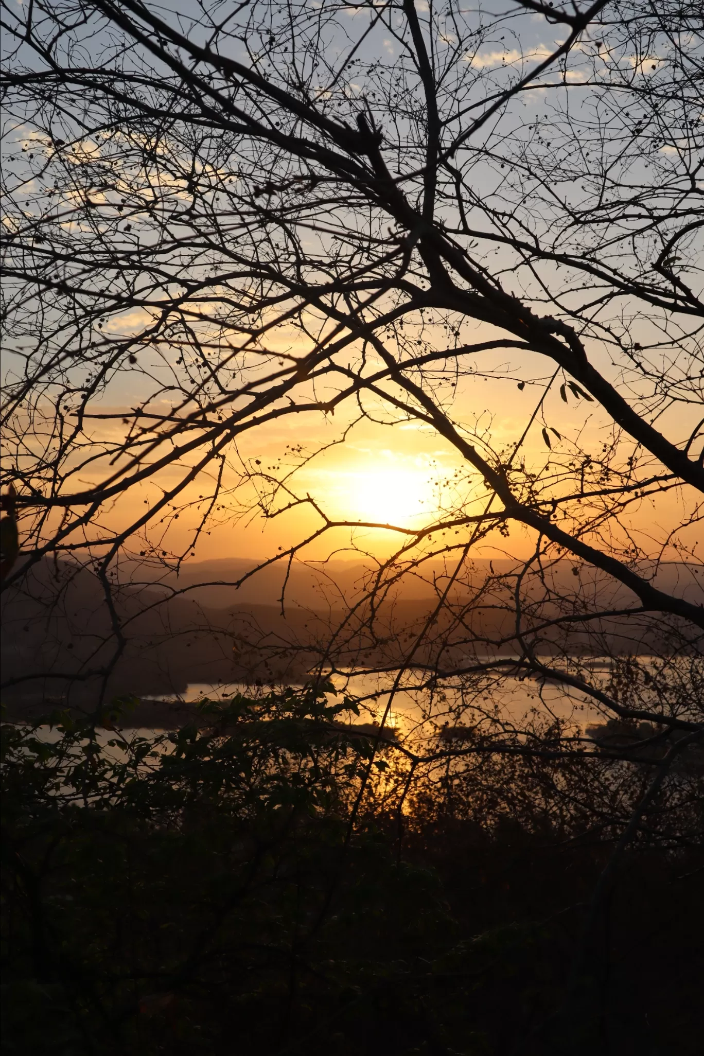 Photo of Udaipur By Saili Nagrale