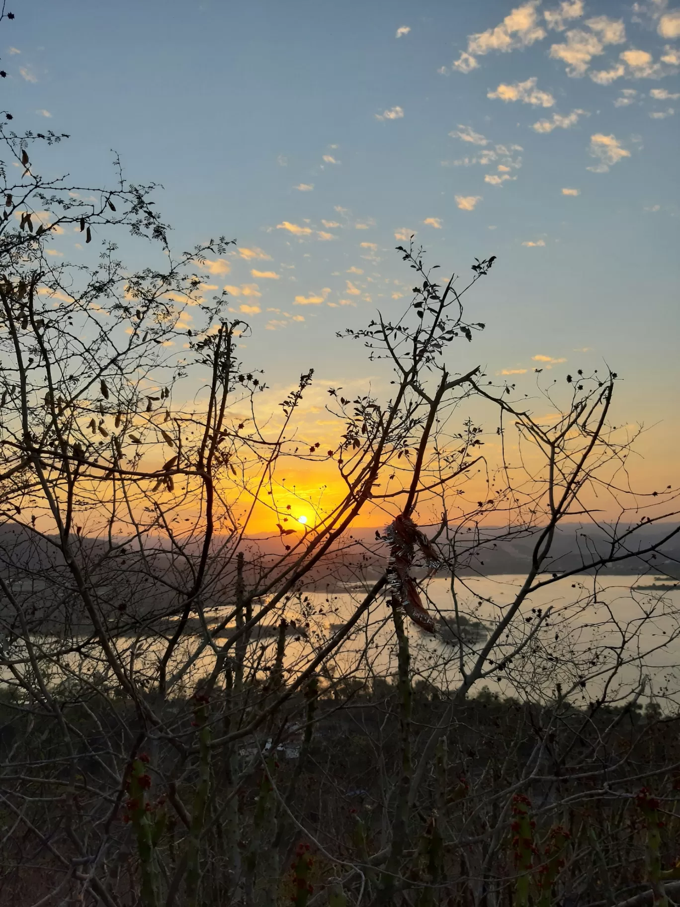 Photo of Udaipur By Saili Nagrale