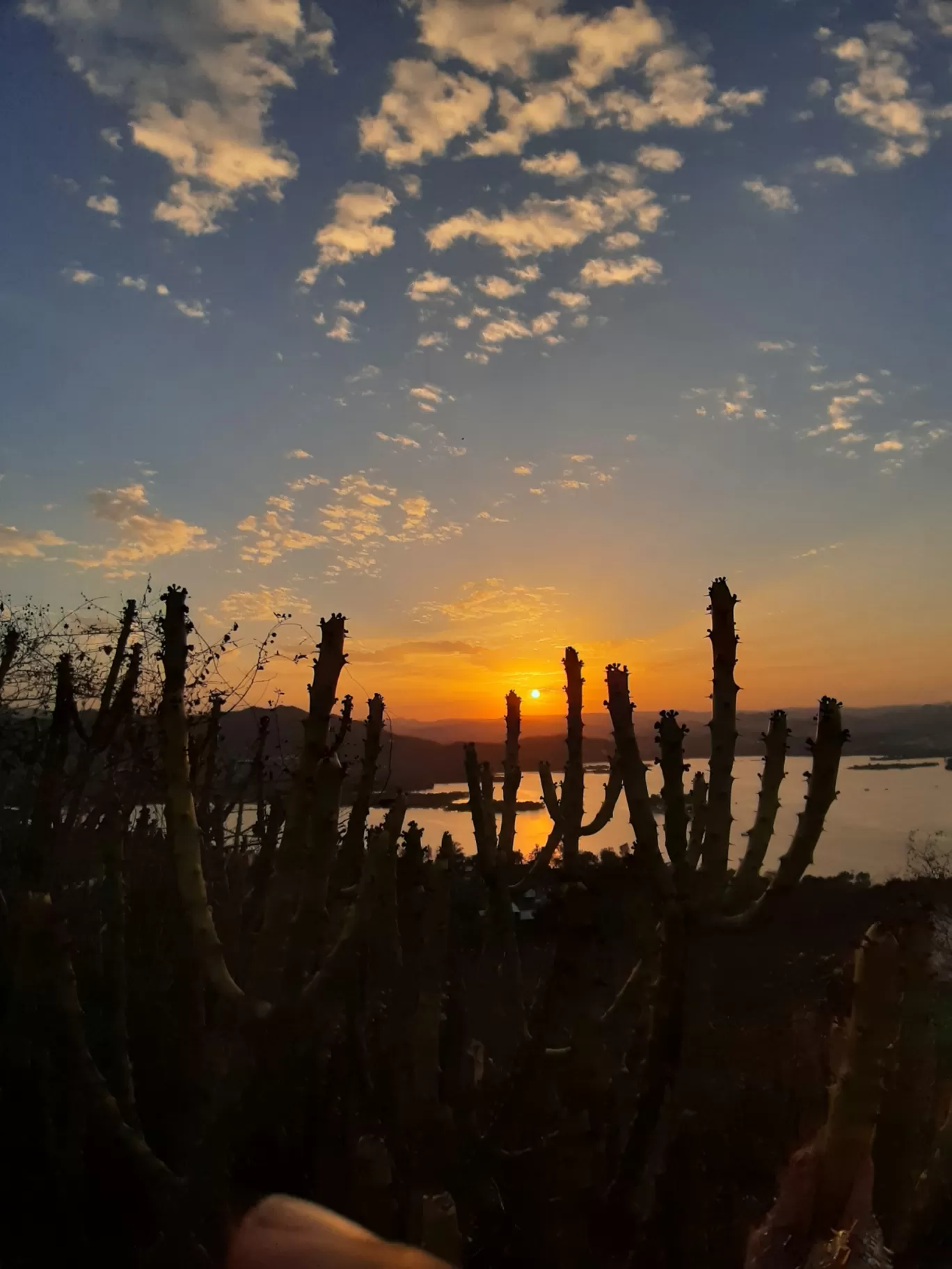 Photo of Udaipur By Saili Nagrale