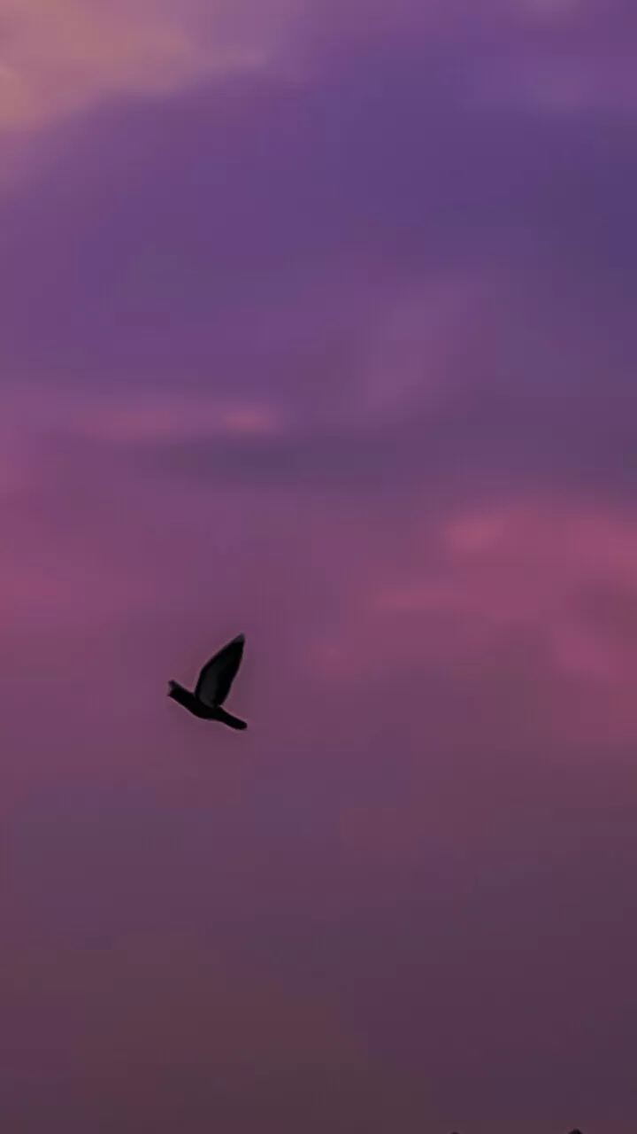 Photo of Jaipur By Hemant Singh Rathore