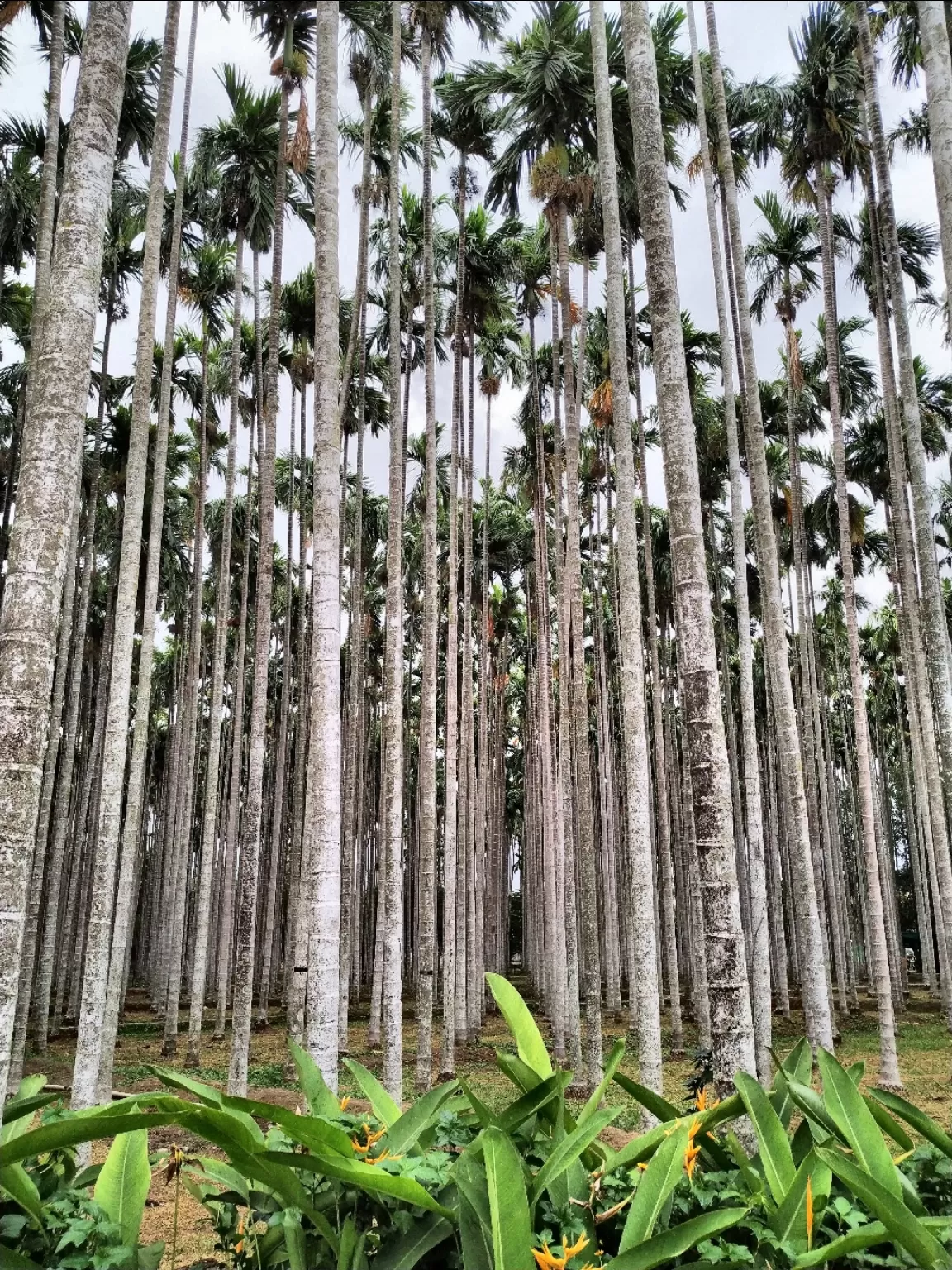 Photo of Coimbatore By Gaurav Yadav