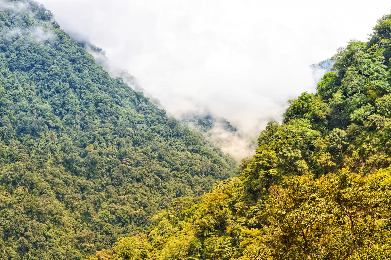 Photo of Guwahati By Sanjeev