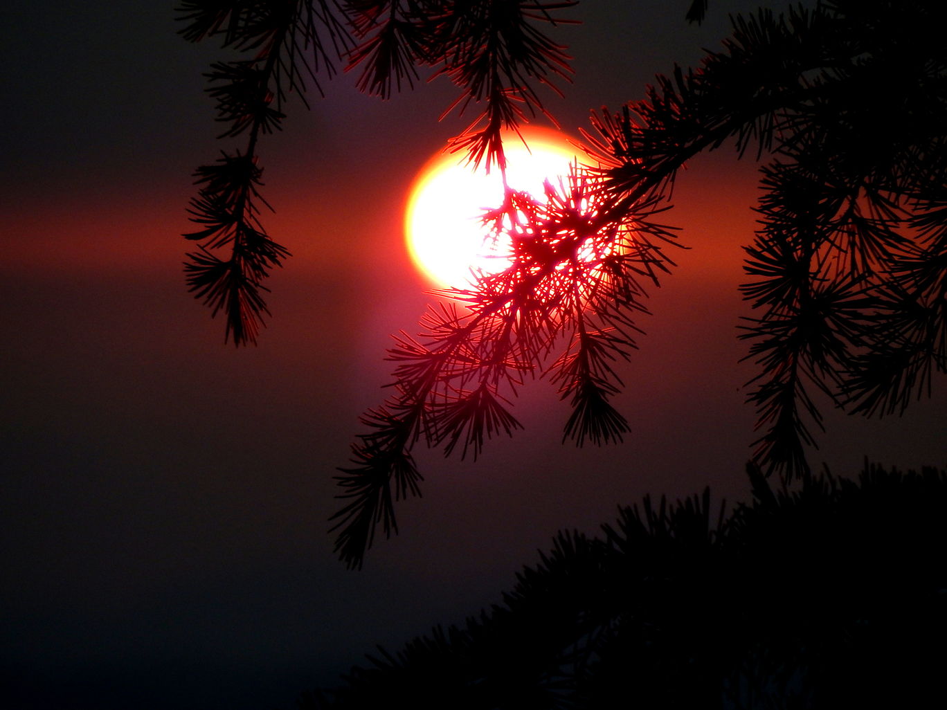 Photo of An evening in Mukteshwar By Raunak Upadhyay