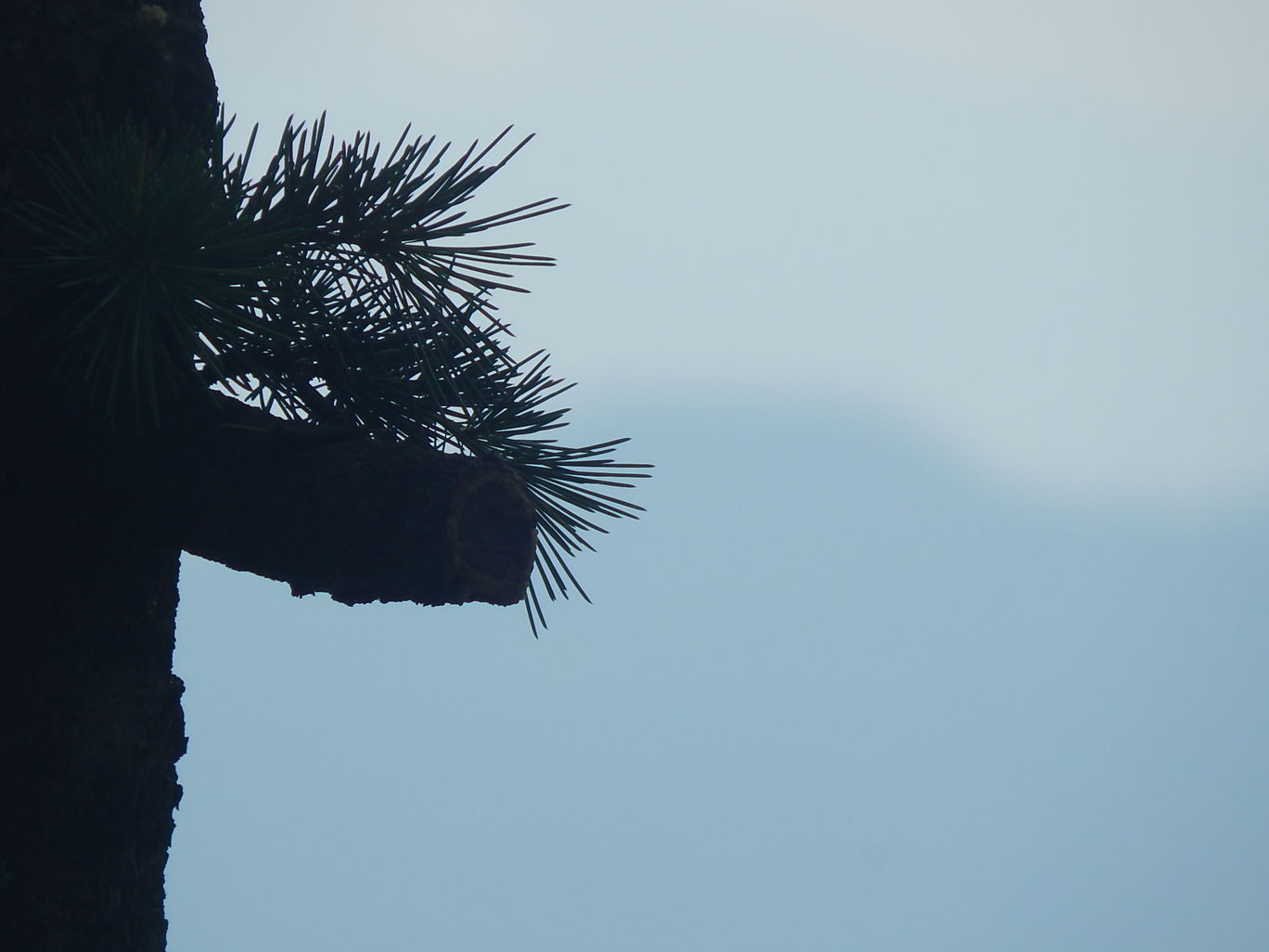 Photo of An evening in Mukteshwar By Raunak Upadhyay