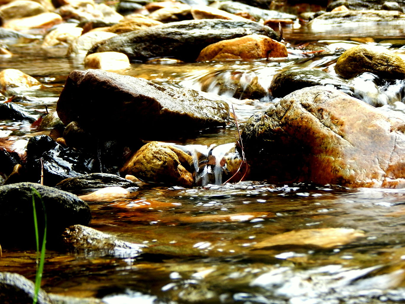Photo of An evening in Mukteshwar By Raunak Upadhyay