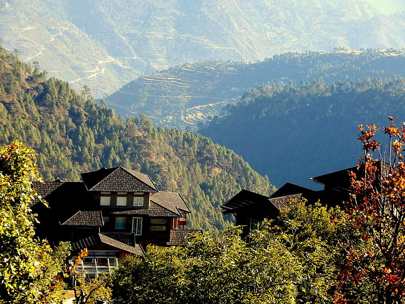 Photo of Kanatal – A quaint hamlet By Raunak Upadhyay