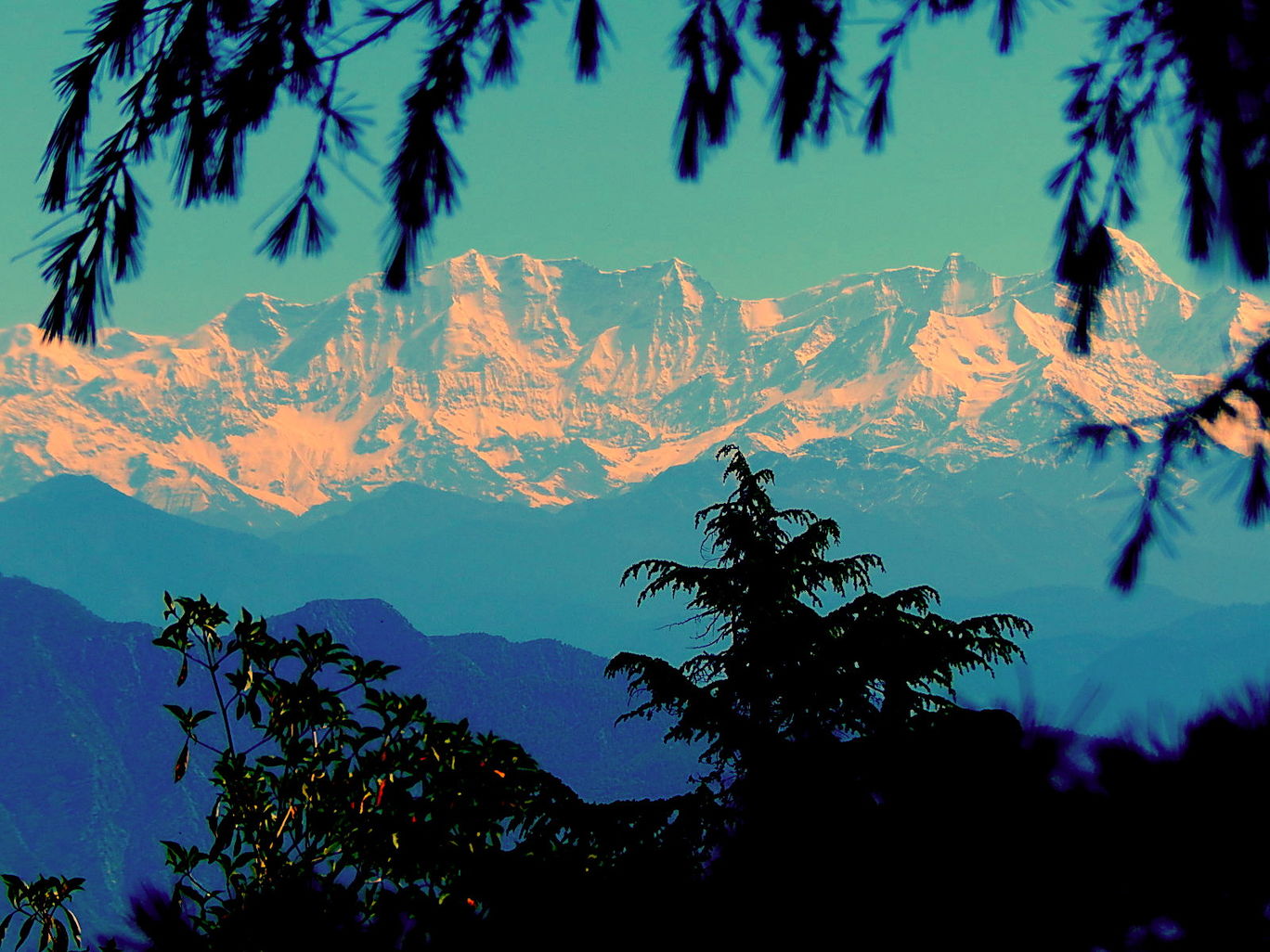 Photo of Kanatal – A quaint hamlet By Raunak Upadhyay