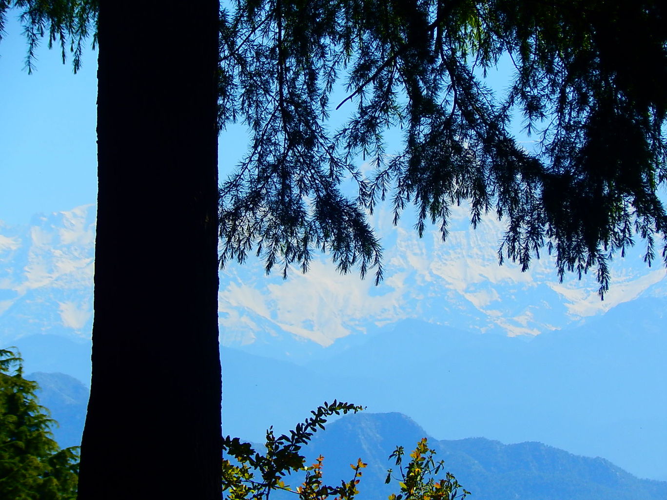 Photo of Kanatal – A quaint hamlet By Raunak Upadhyay