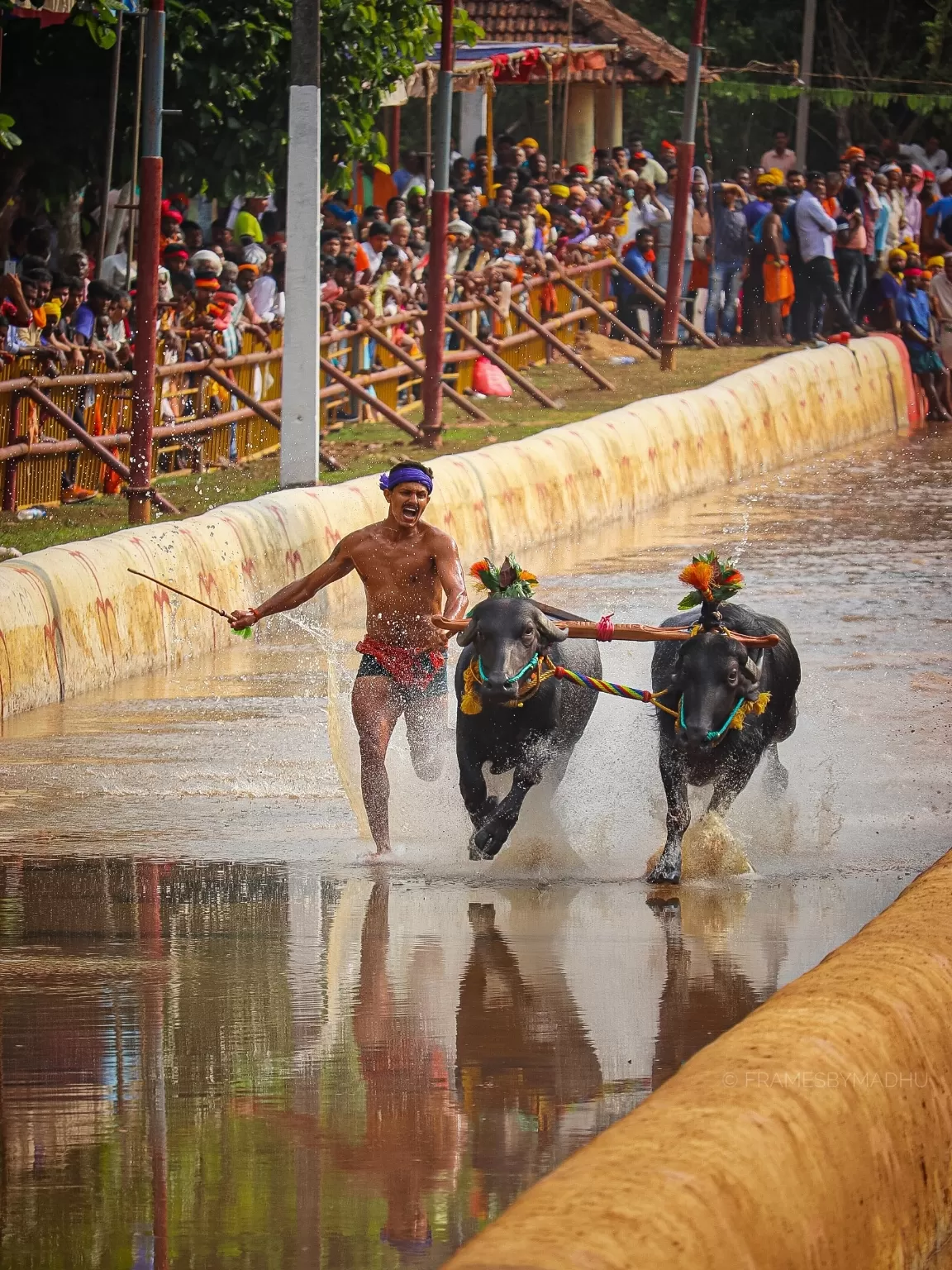 Photo of Mangalore By Madhusudhan Gk