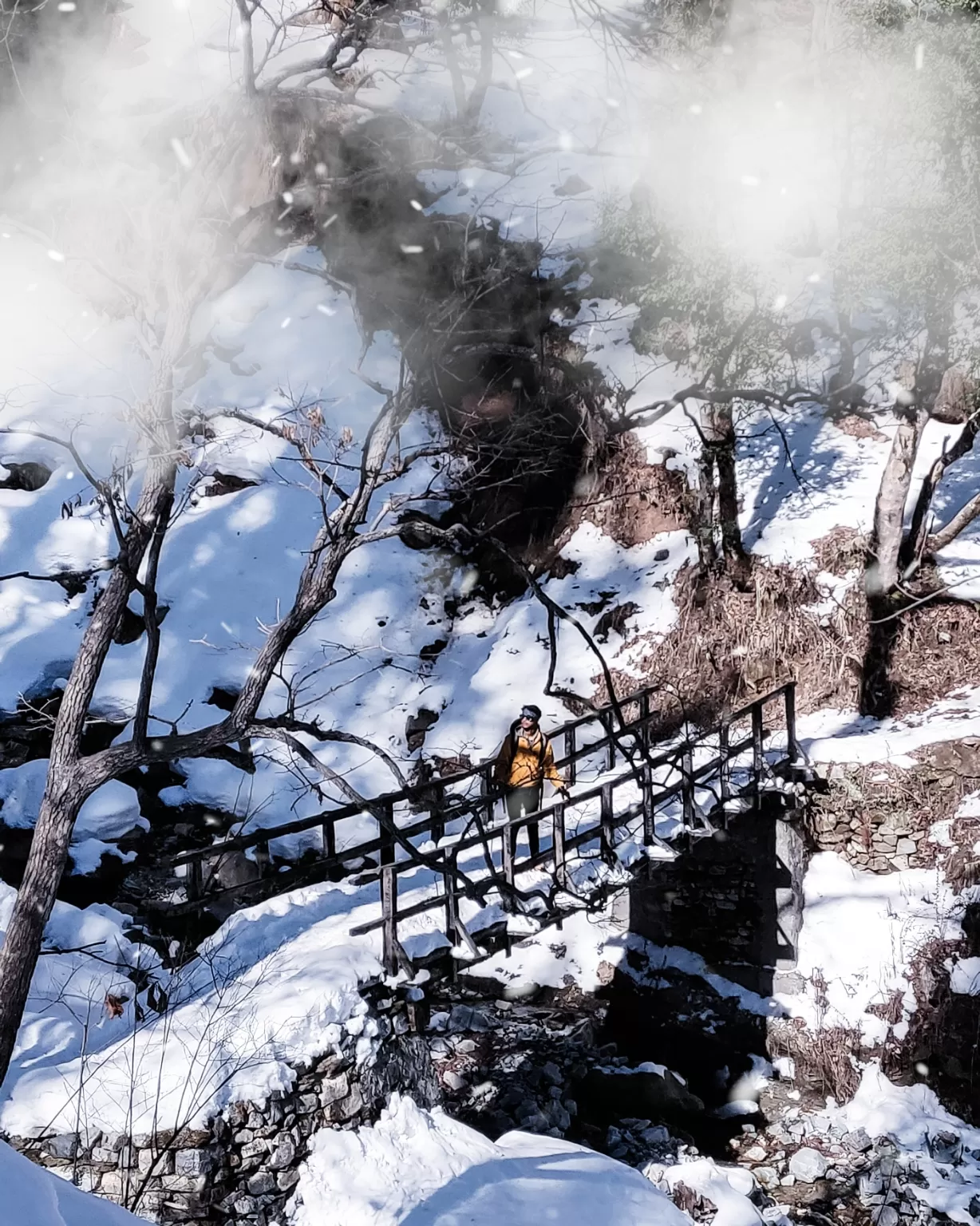 Photo of Kedarkantha Trek By shubham sharma
