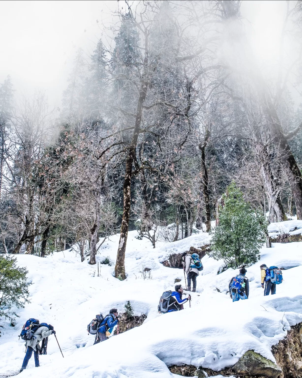 Photo of Kedarkantha Trek By shubham sharma
