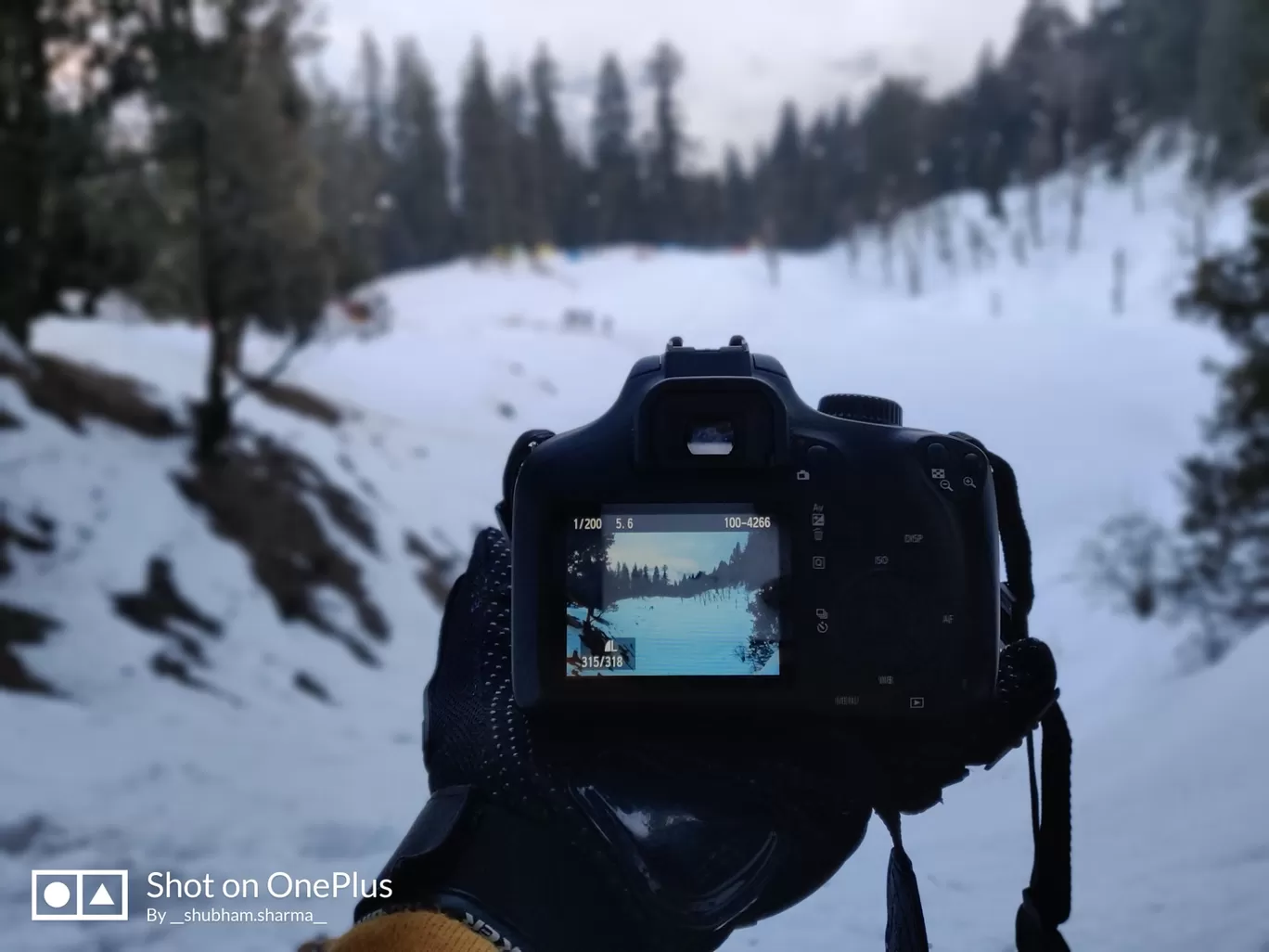 Photo of Kedarkantha Trek By shubham sharma