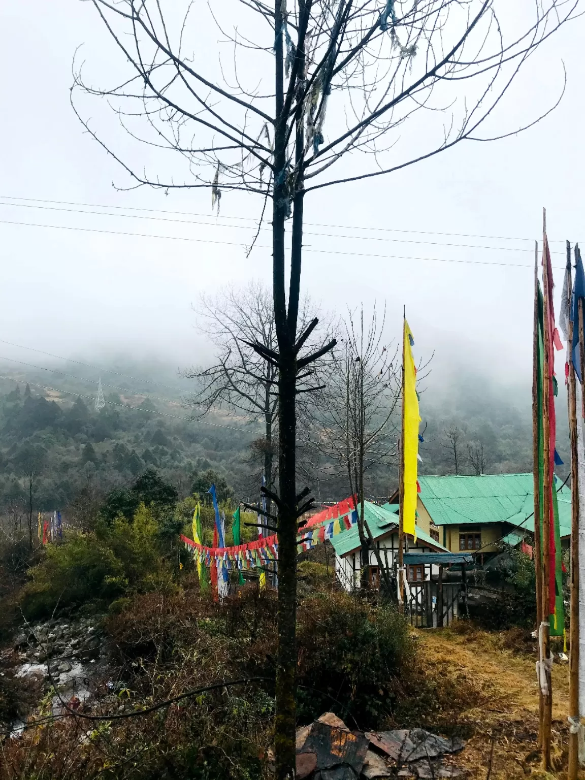 Photo of Lachung By shubham sharma