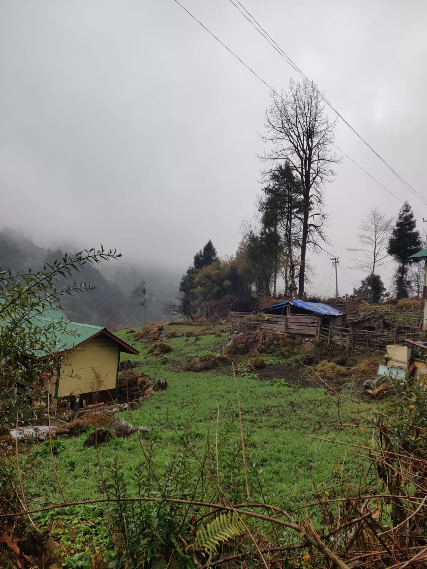 Photo of Lachung By shubham sharma