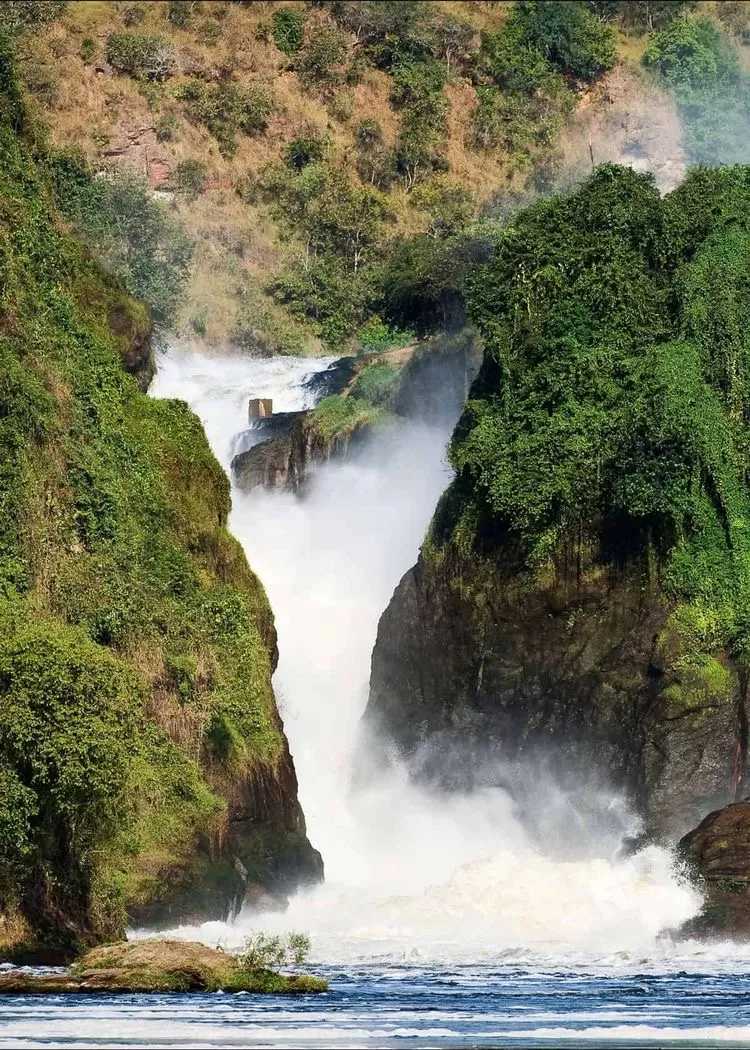 Photo of Murchison Falls Uganda By levy danny