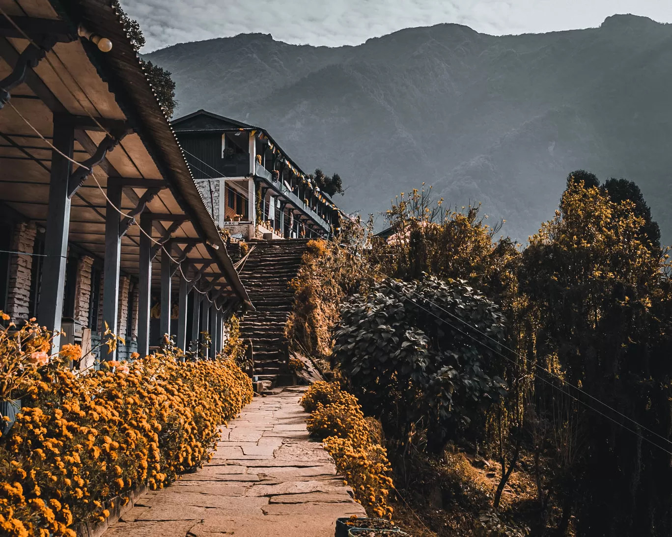 Photo of Annapurna Base Camp Trekking Route By Hawrry Bhattarai