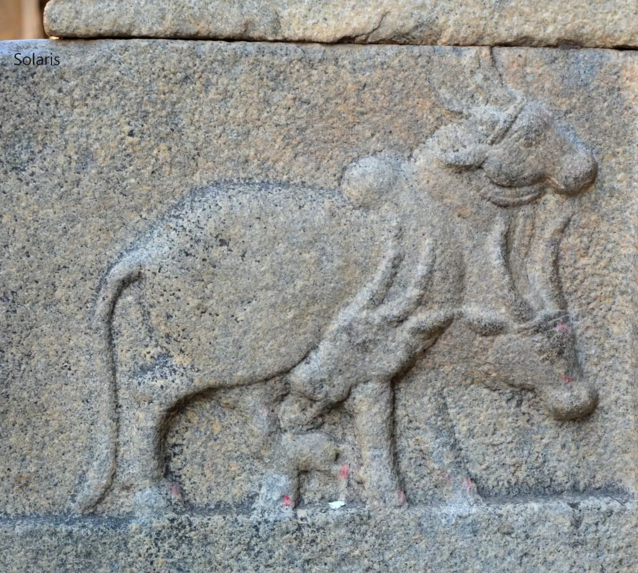 Photo of Lepakshi By Sonya V. Anchan