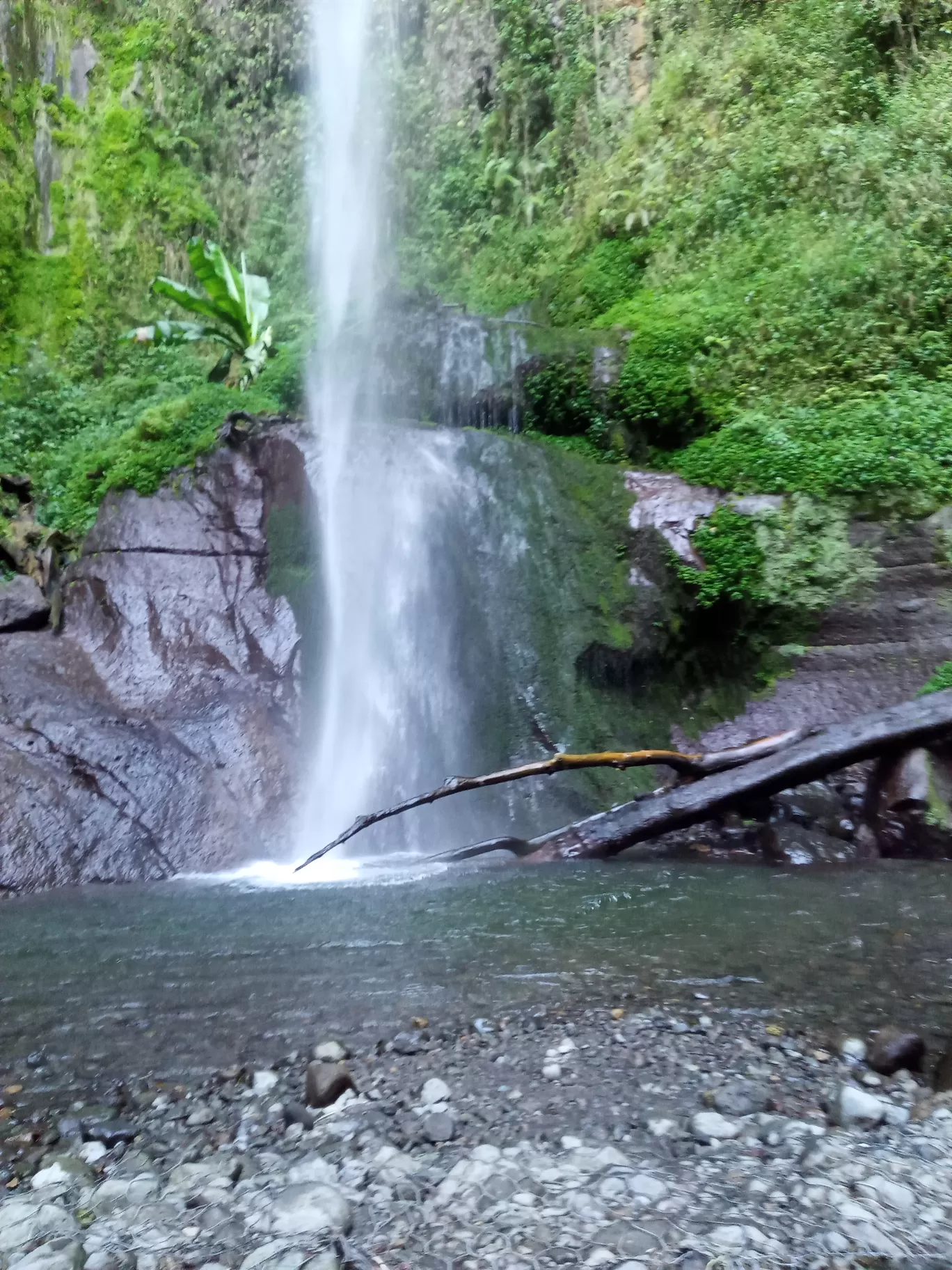 Photo of Arusha By Walking Safari