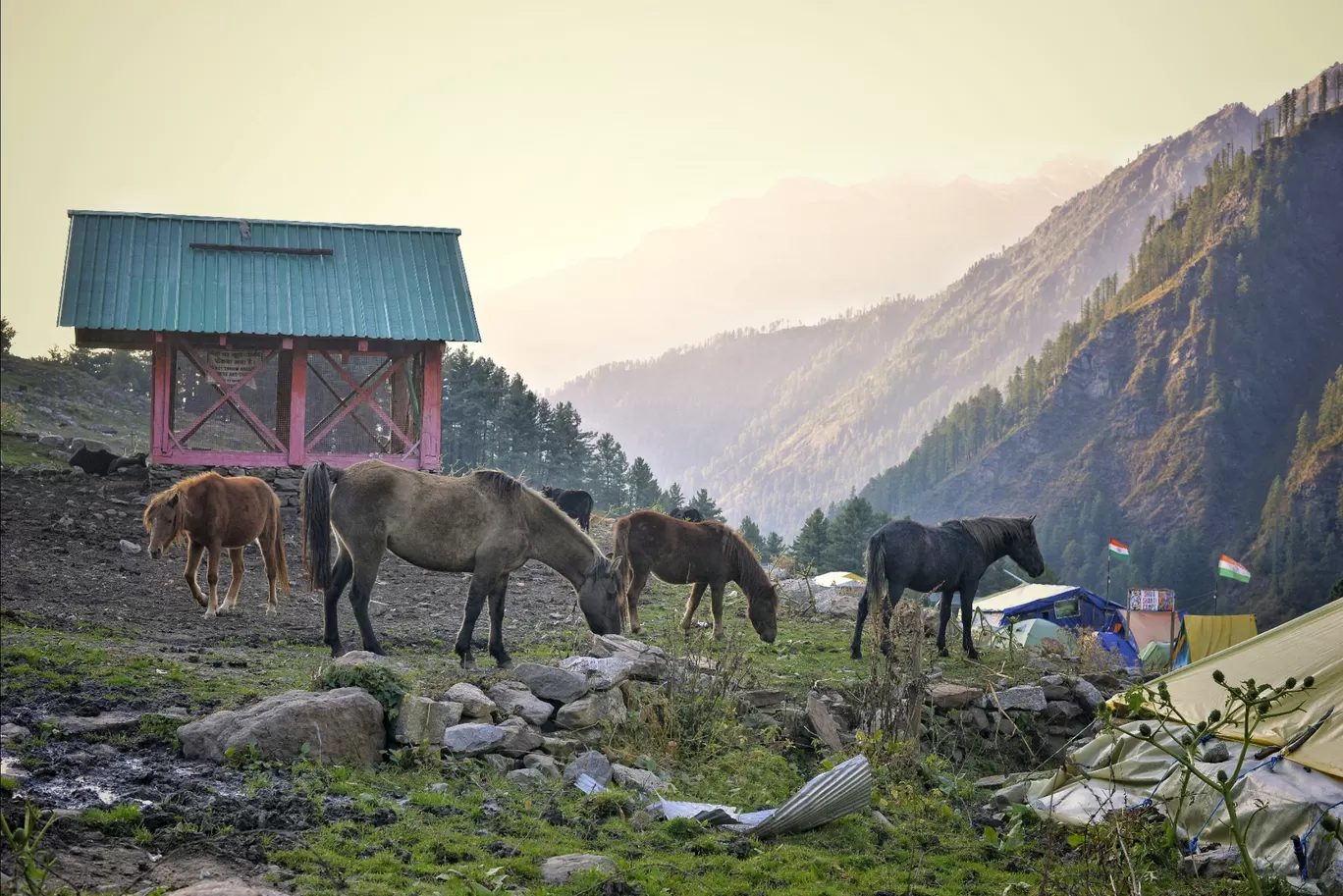 Photo of Himachal Pradesh By Arindam Kashyap