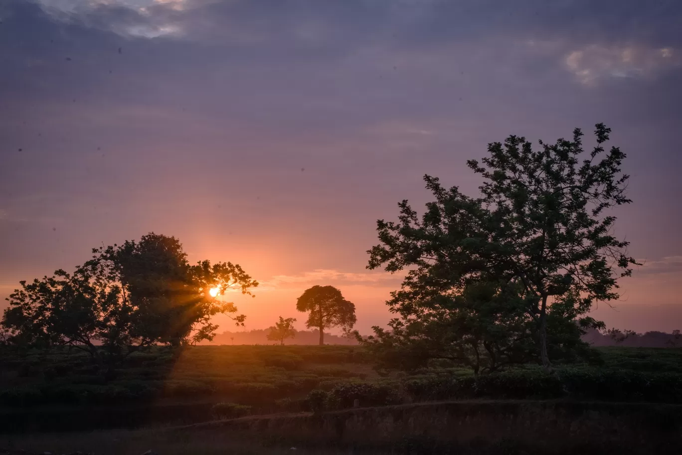 Photo of Assam By Arindam Kashyap